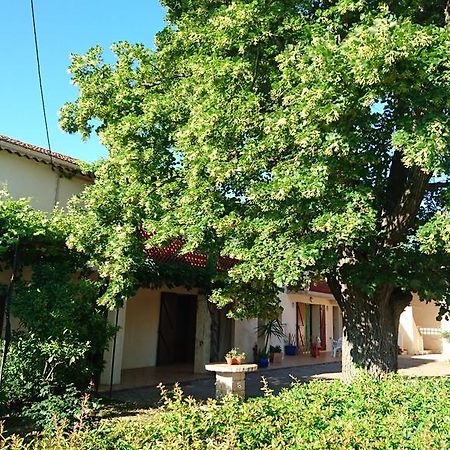 Les Prairies Mas Roux Casa de hóspedes Raphèle Exterior foto