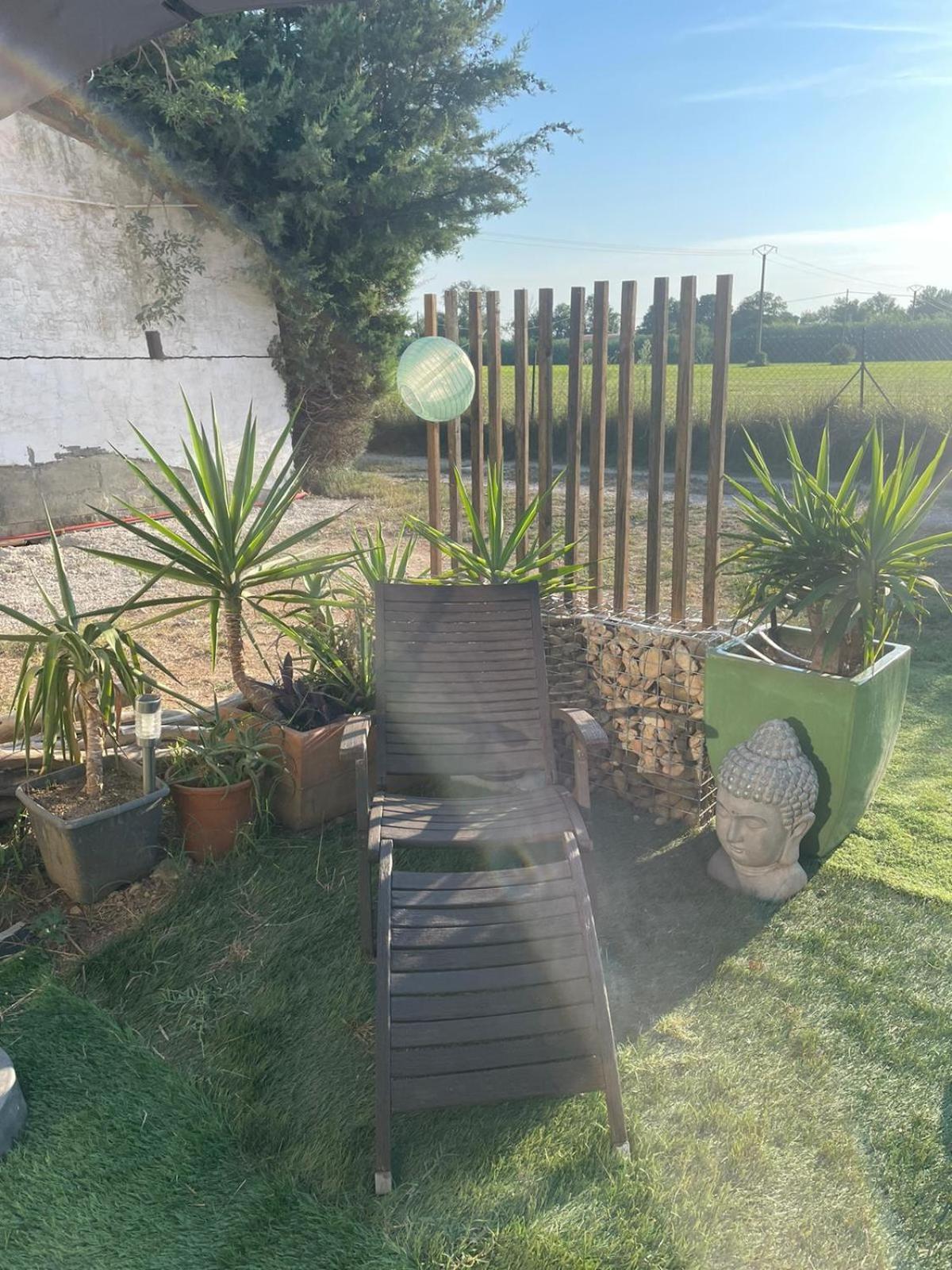 Les Prairies Mas Roux Casa de hóspedes Raphèle Quarto foto