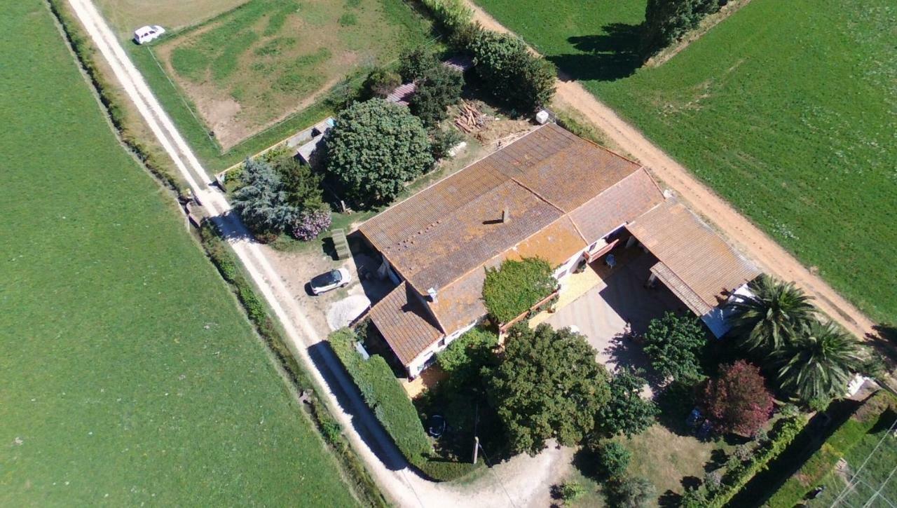 Les Prairies Mas Roux Casa de hóspedes Raphèle Exterior foto